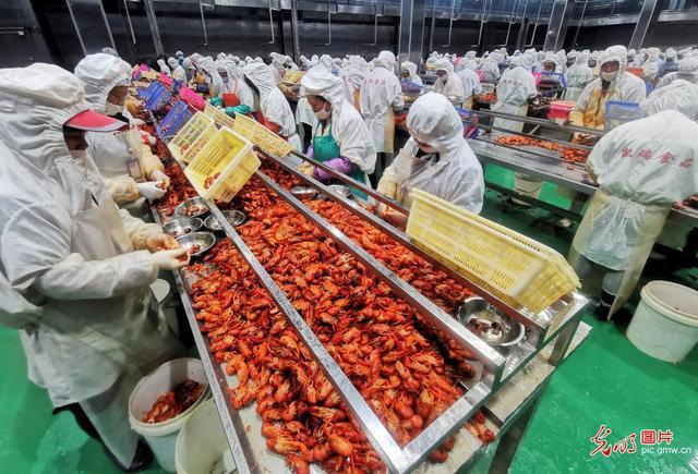 江西九江:小龙虾养成大产业